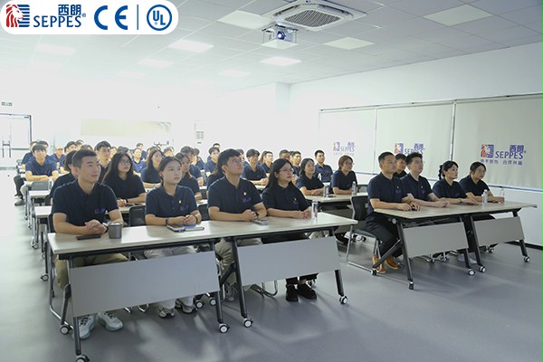 西朗門業董事長楊元嘉帶領全體員工觀看閱兵儀式 西朗門業董事長楊元嘉帶領全體員工觀看閱兵儀式